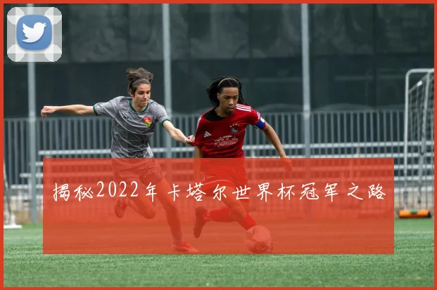 揭秘2022年卡塔尔世界杯冠军之路